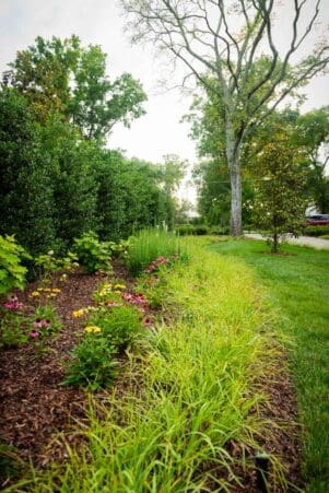 Nashville, TN Plant Health Care Services Company