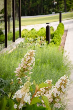 Nashville, TN Plant Health Care Services Company