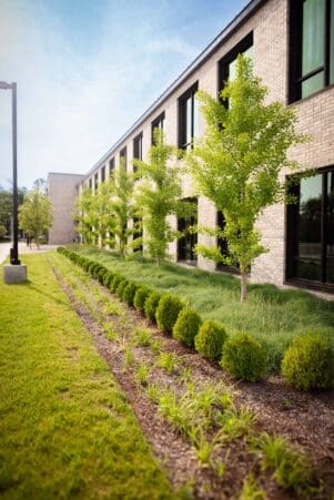 Nashville, TN Plant Health Care Services Company