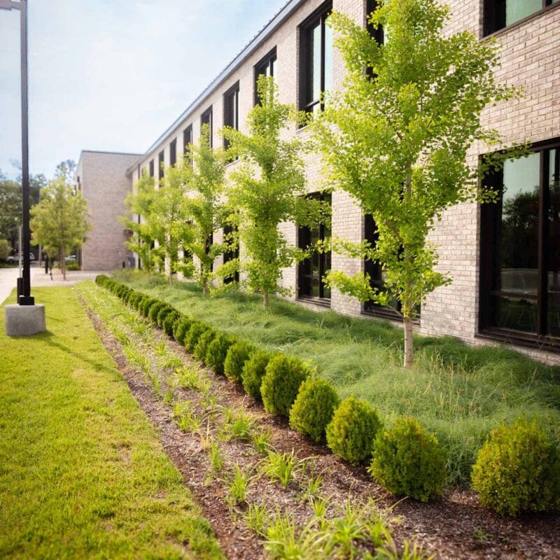 Nashville, TN Plant Health Care Services Company