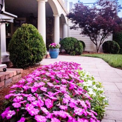 Nashville, TN Plant Health Care Services Company