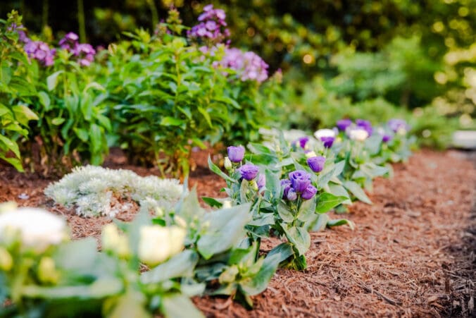 Lawn Care Services in Franklin, TN