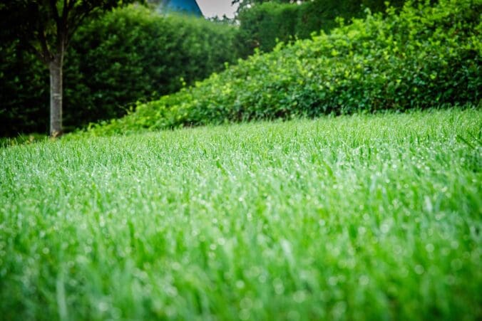Nashville, TN Lawn Care Companies