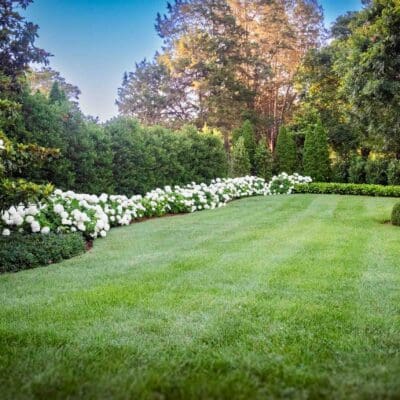 Belle Meade, TN Lawn Care Services