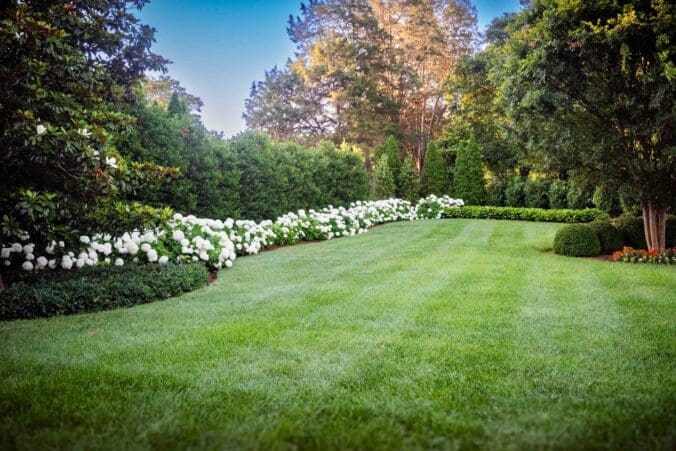 Belle Meade, TN Lawn Care Services