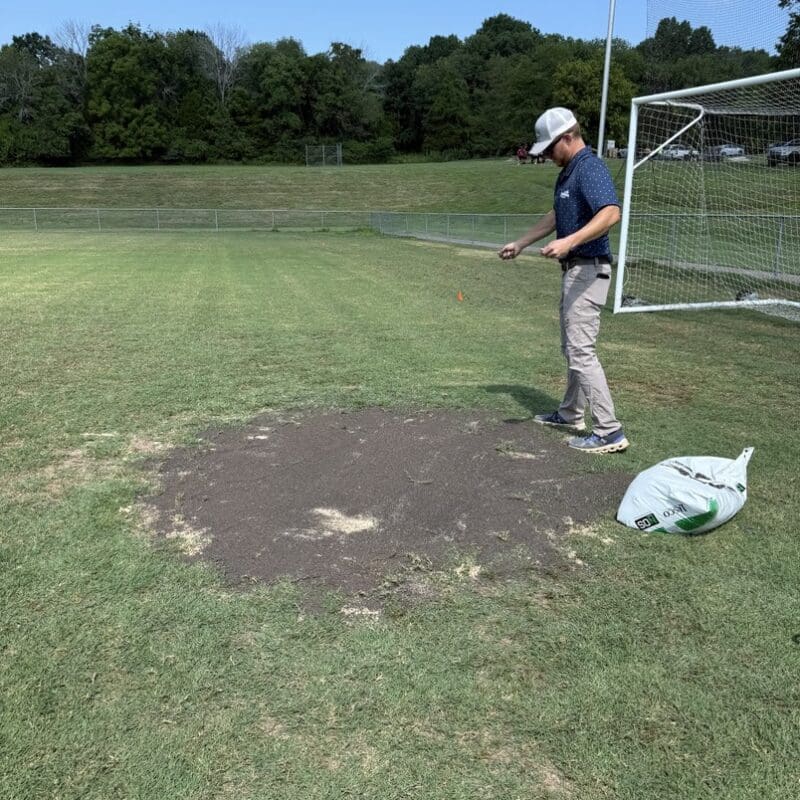 Nashville, TN Sod & Turf Management Services