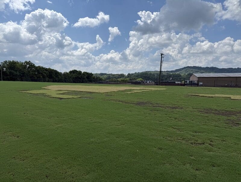 Nashville, TN Sod & Turf Management Services