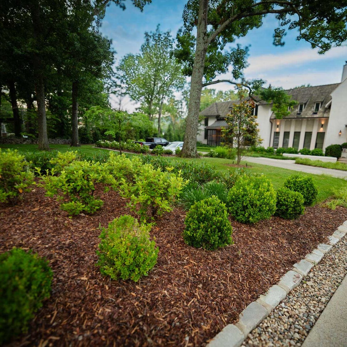 Nashville, TN Plant Health Care Services Company