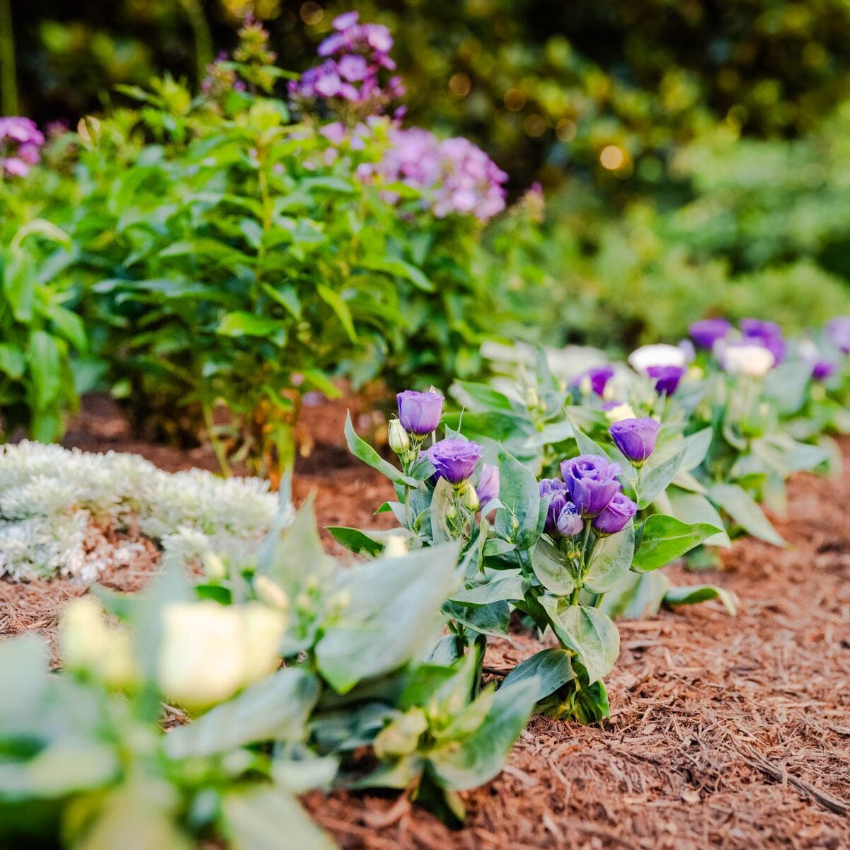 Lawn Care Services in Franklin, TN