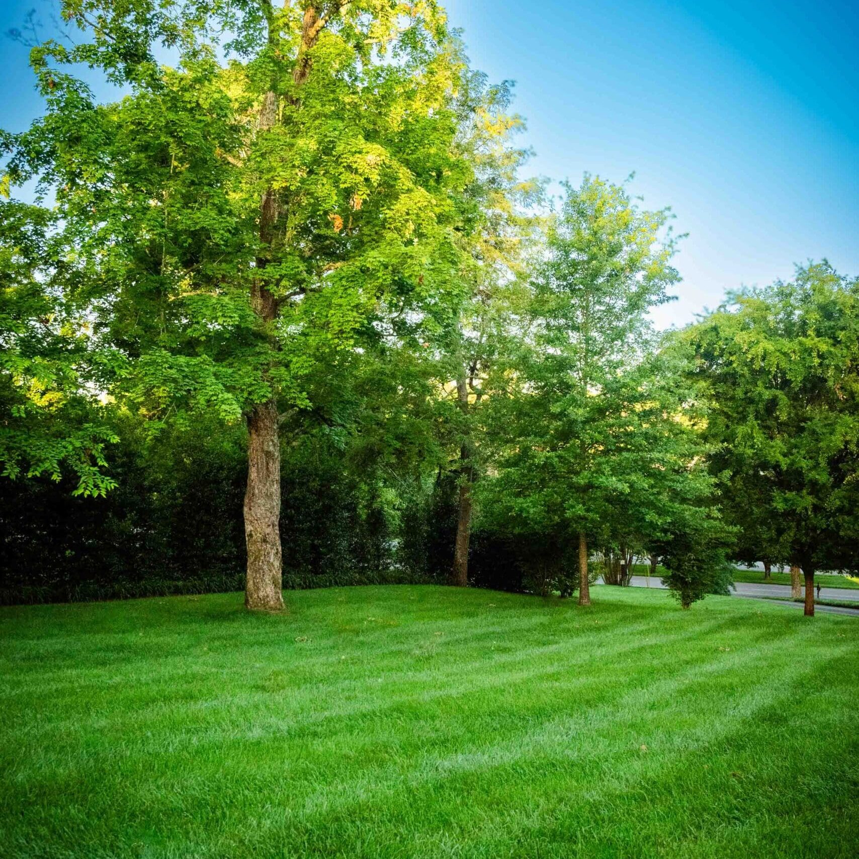 Greathouse June2024 FullRes 5089