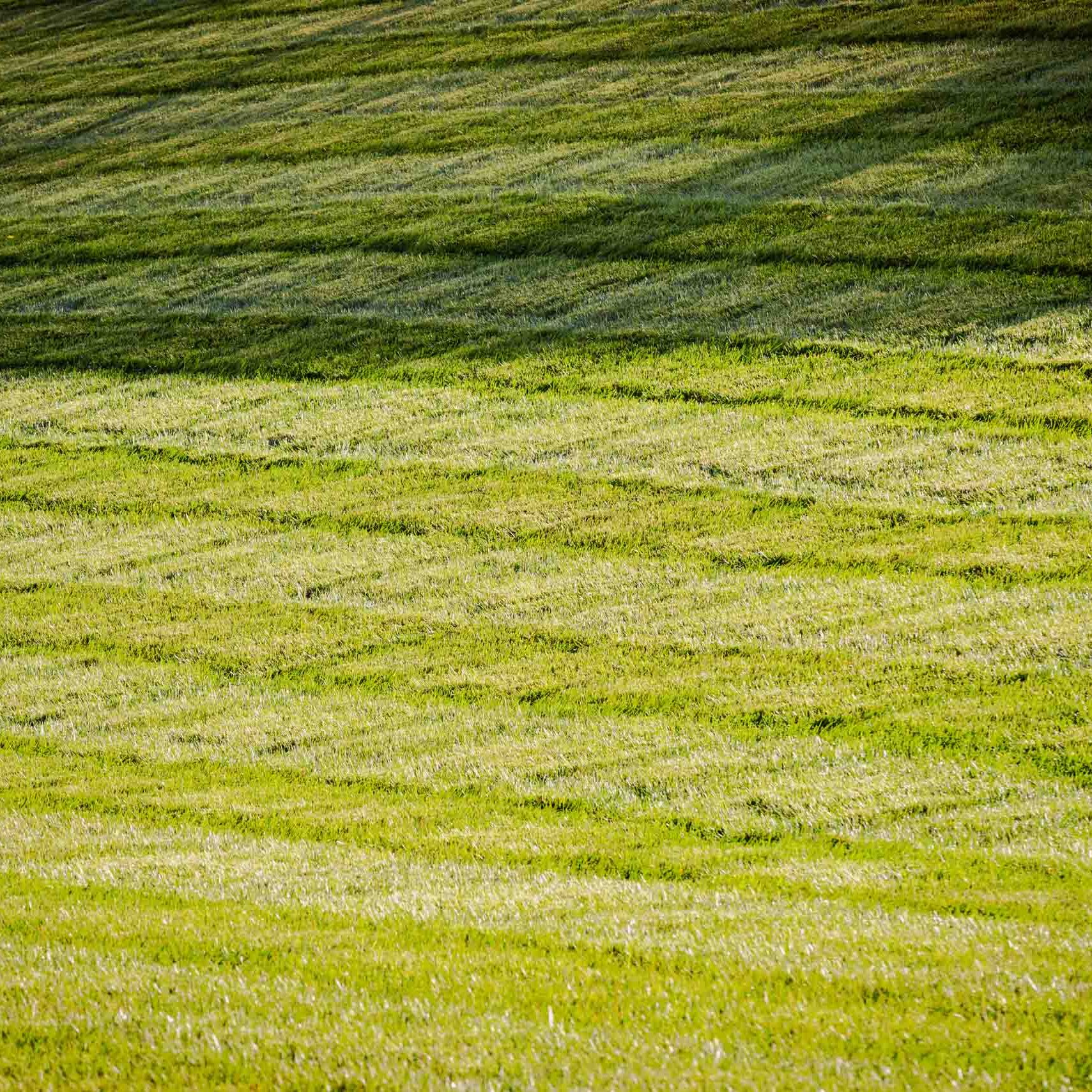 Nashville, TN Lawn Care Company