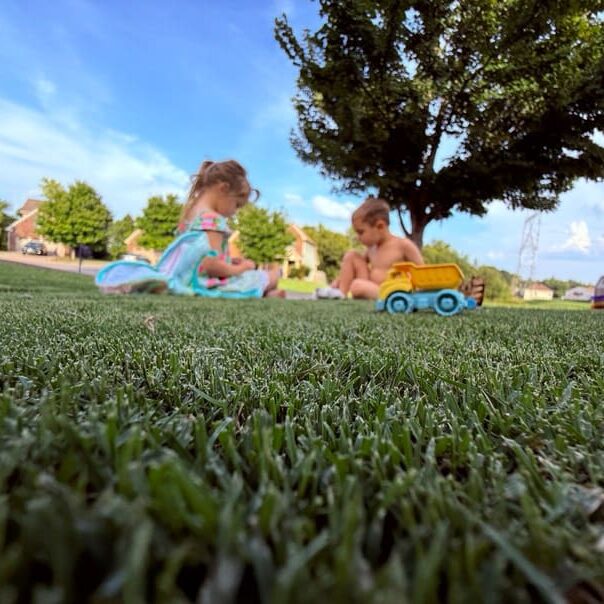 Nashville, TN Weed Control Services