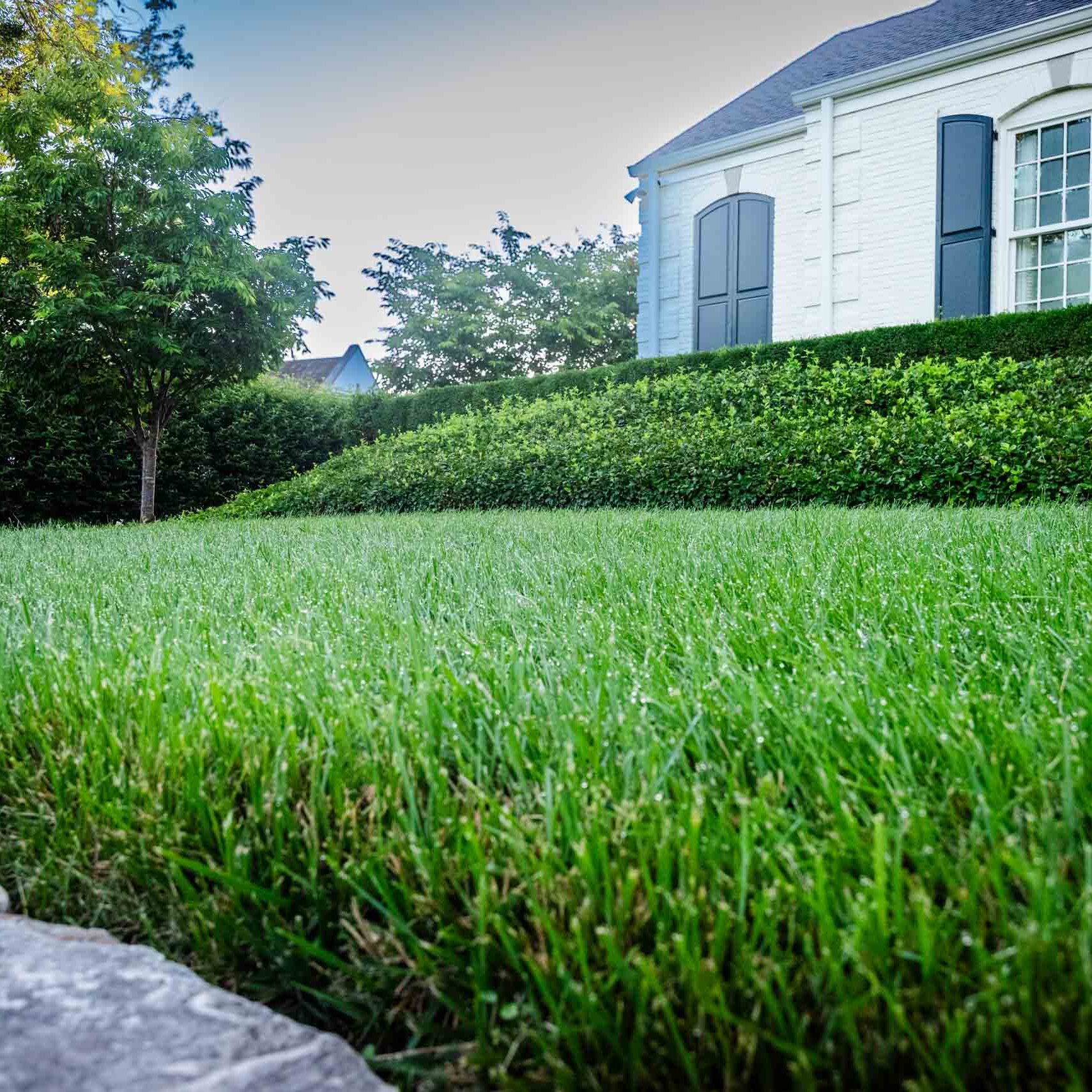 Lebanon, TN Lawn Care Services